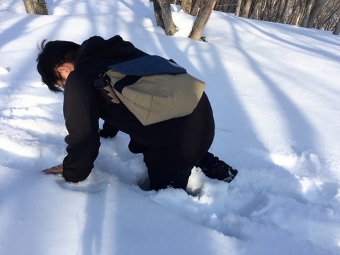 雪中キャンプ_雪_積雪_落ちる_スタッフ_足を取られる