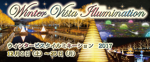ウインタービスタイルミネーション_国営_昭和記念公園