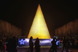 ウインタービスタイルミネーション_シャンパングラス_15000個_クリスマスツリー_昭和記念公園