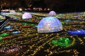 ウインタービスタイルミネーション_昭和記念公園_2017_公園の四季_グランドイルミネーション
