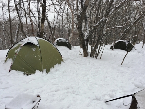冬_雪中キャンプ_テント_降雪